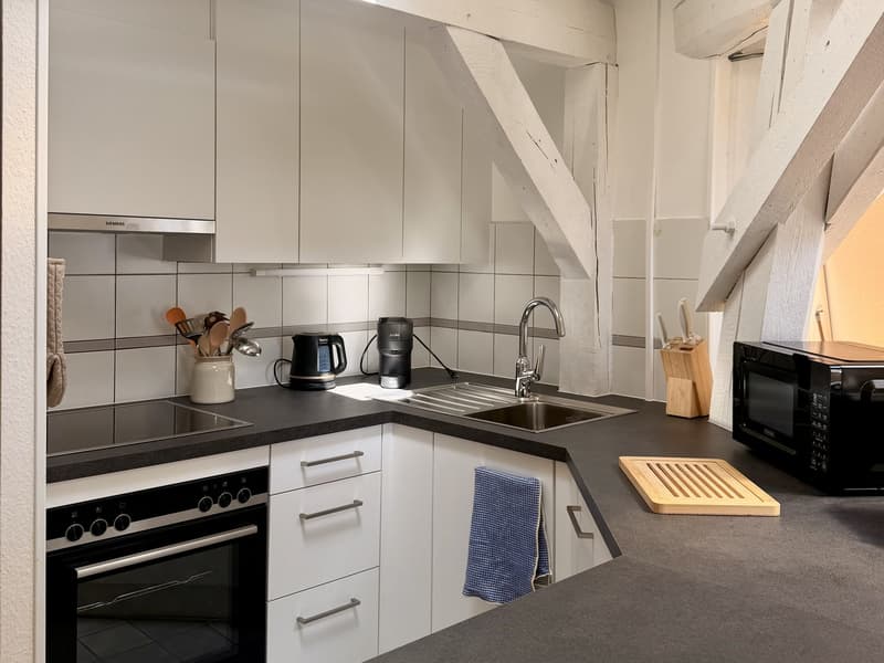 Charmant appartement meublé 1 chambre sous les toits avec poutres apparentes – Servette, Genève (6)