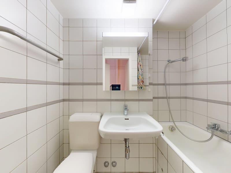 Charmant appartement meublé 1 chambre sous les toits avec poutres apparentes – Servette, Genève (10)