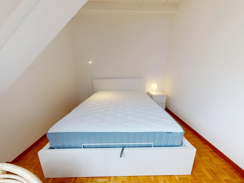 Charmant appartement meublé 1 chambre sous les toits avec poutres apparentes – Servette, Genève (8)