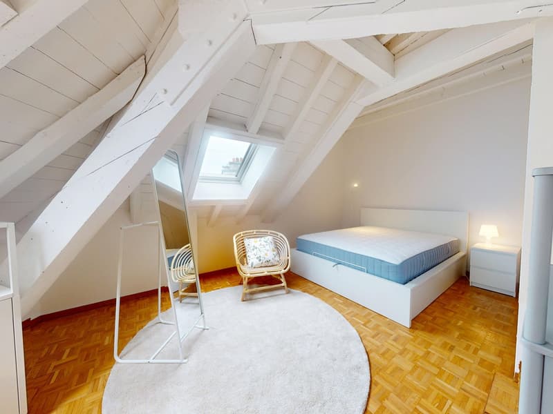 Charmant appartement meublé 1 chambre sous les toits avec poutres apparentes – Servette, Genève (9)