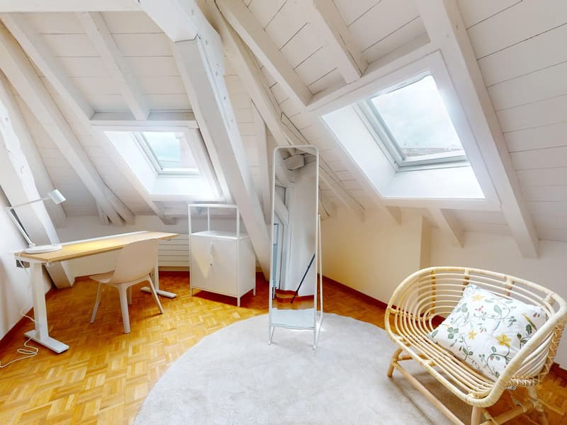 Charmant appartement meublé 1 chambre sous les toits avec poutres apparentes – Servette, Genève (5)