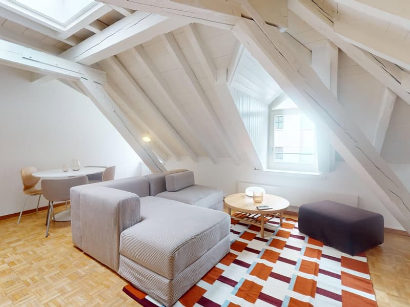 Charmant appartement meublé 1 chambre sous les toits avec poutres apparentes – Servette, Genève (1)