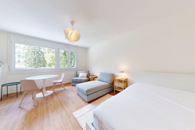Furnished 30 m² Studio with Separate Kitchen – Plainpalais, Geneva (1)