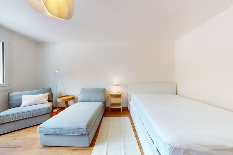 Furnished 30 m² Studio with Separate Kitchen – Plainpalais, Geneva (2)