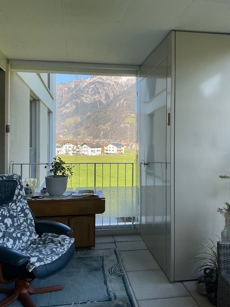 Balcony with view, wooden desk with plant, couch, rug, glass cabinet, door