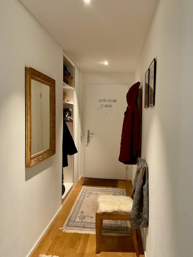 corridor, mirror, coat rack, entrance, wooden flooring