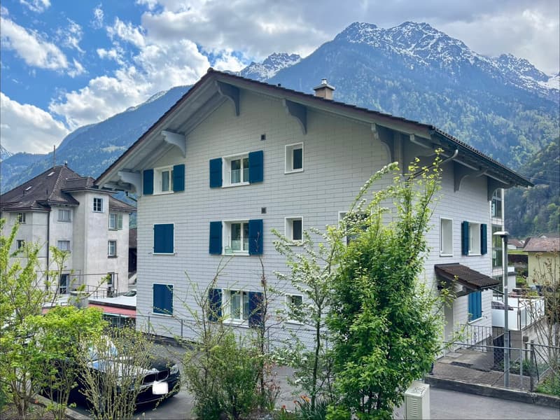 White house with blue shutters, multiple windows, brown roof, mountain view