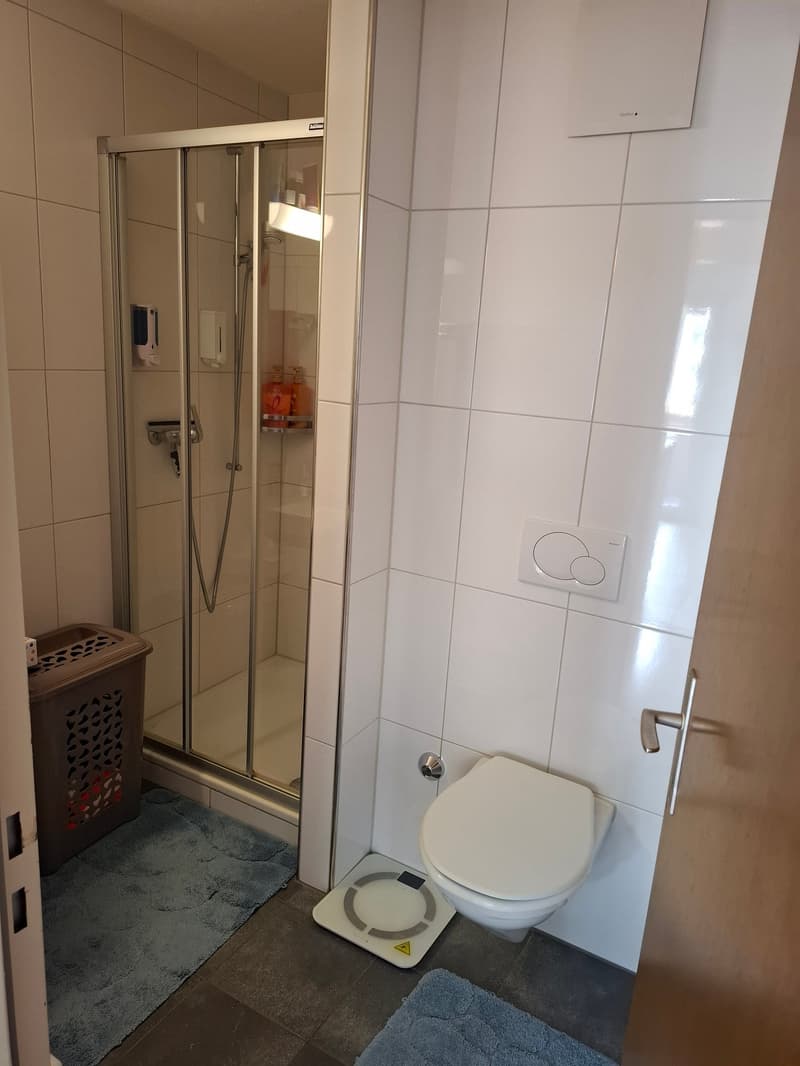 Appartement 5.5 pièces avec vue sur les montagnes à Wassen (4)