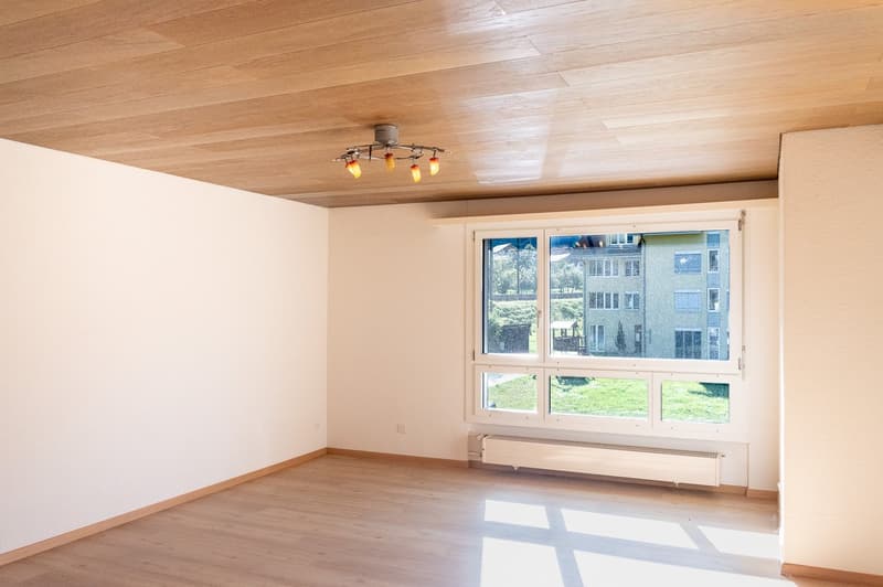 Grosszügige 4.5-Zimmer Wohnung (2)