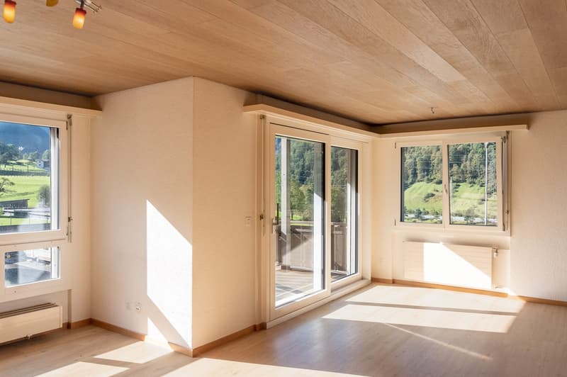 Grosszügige 4.5-Zimmer Wohnung (3)