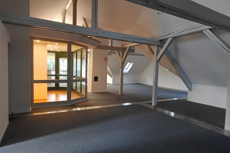 Versatile office or practice spaces for rent in a representative building! (7)