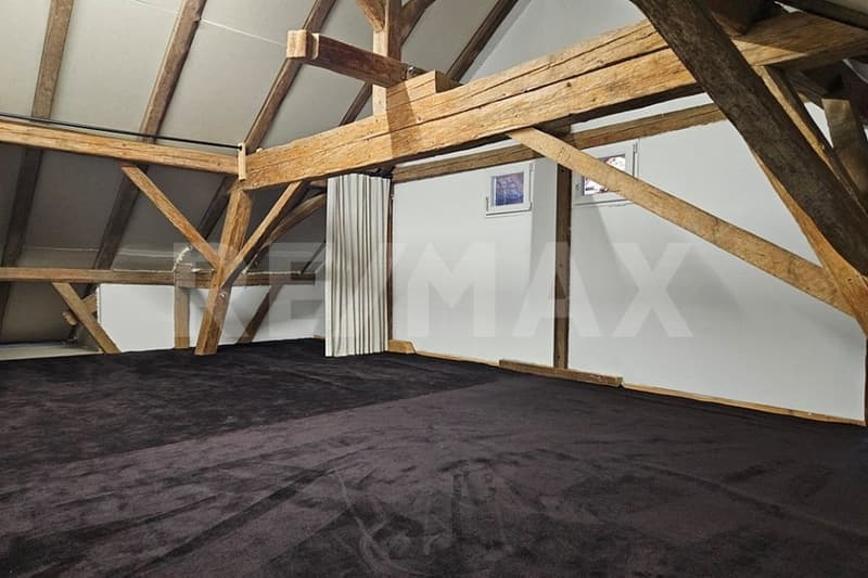 Casa di 6 locali elegantemente curata con piscina naturale e grande giardino (13)