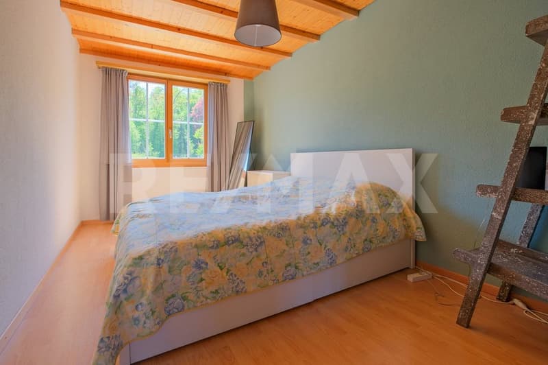 Dream Home - ideal for families: Country house in the green (7)