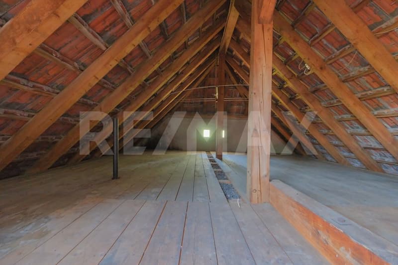 Freistehendes 4.5 Zimmer-Haus mit separatem, vielseitigem Nebengebäude (8)