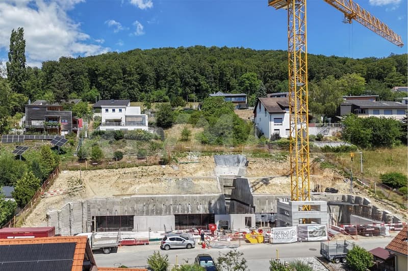 Rebmatt - Terrassenwohnen mit Panorama - mit angenehmer Deckenkühlung (3)