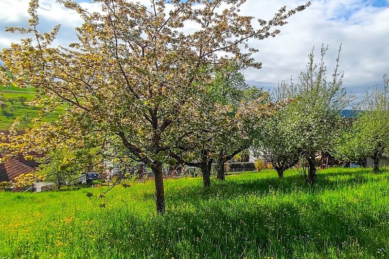 Attraktives Baugrundstück in Hottwil  sonnige Westhanglage mit attraktiver Aussicht (7)
