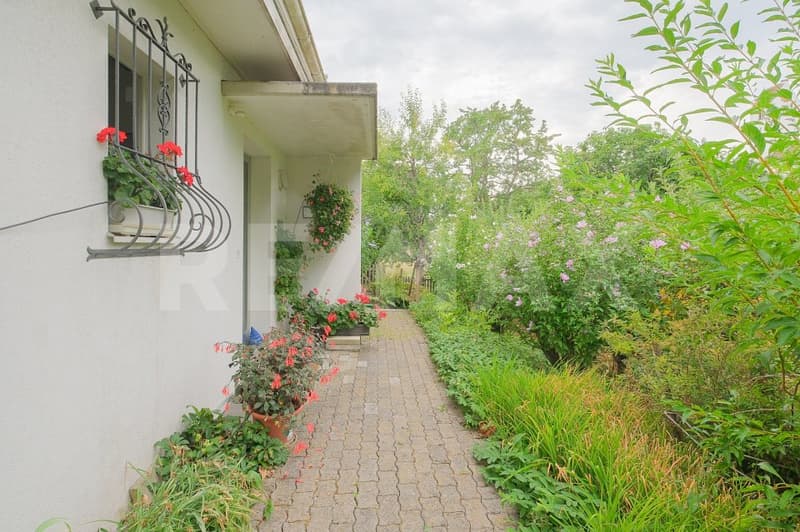 Naturverbunden Wohnen an der Aare:  4.5 Zimmer-Einfamilienhaus mit  grosszügigem Garten (3)