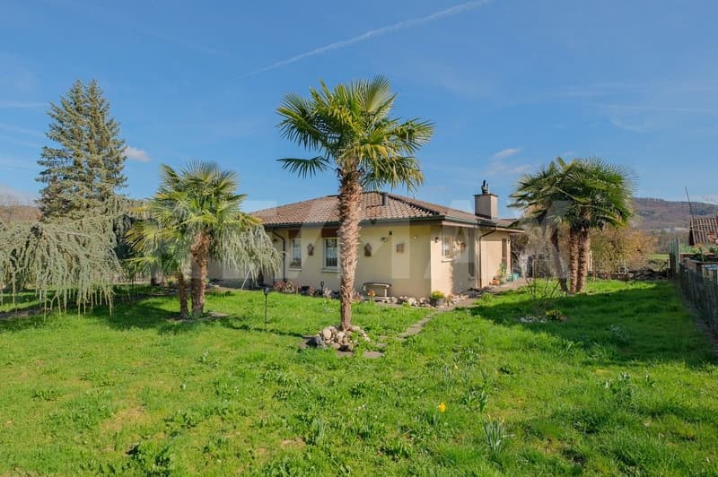 Freistehendes 5.5 Zimmer-Einfamilienhaus mit grossem Garten und Doppelgarage (1)