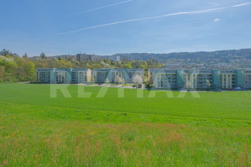 Grundstück 5'515 m² (3'701 m² Bauland) an unverbaubarer Aussichtslage (8)