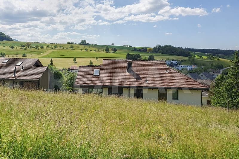 Besser leben am Besseberg - wo Natur, Ruhe und Weitblick zuhause sind (8)