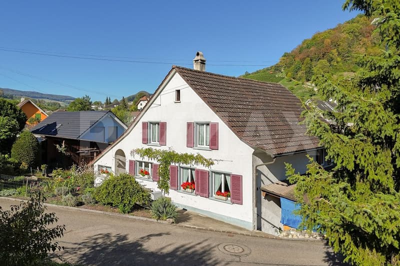Freistehendes Einfamilienhaus: Für Familie, Handwerk und Hobby (1)