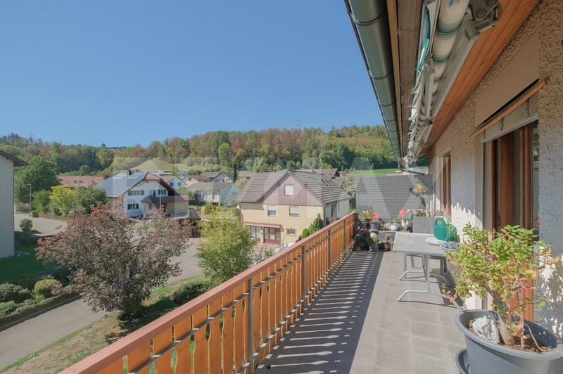 Grosszügige Dachmaisonette-Wohnung am Bauzonenrand (5)