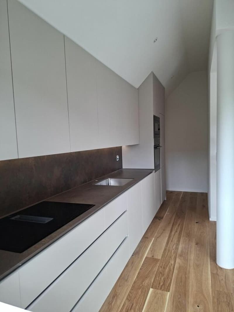Hochwertige Maisonettewohnung mit Flair (14)