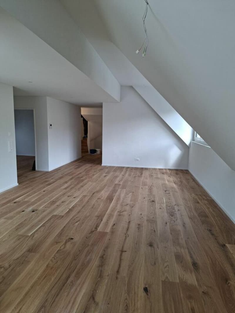 Hochwertige Maisonettewohnung mit Flair (5)