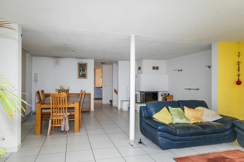 Lots of space in the house (4)