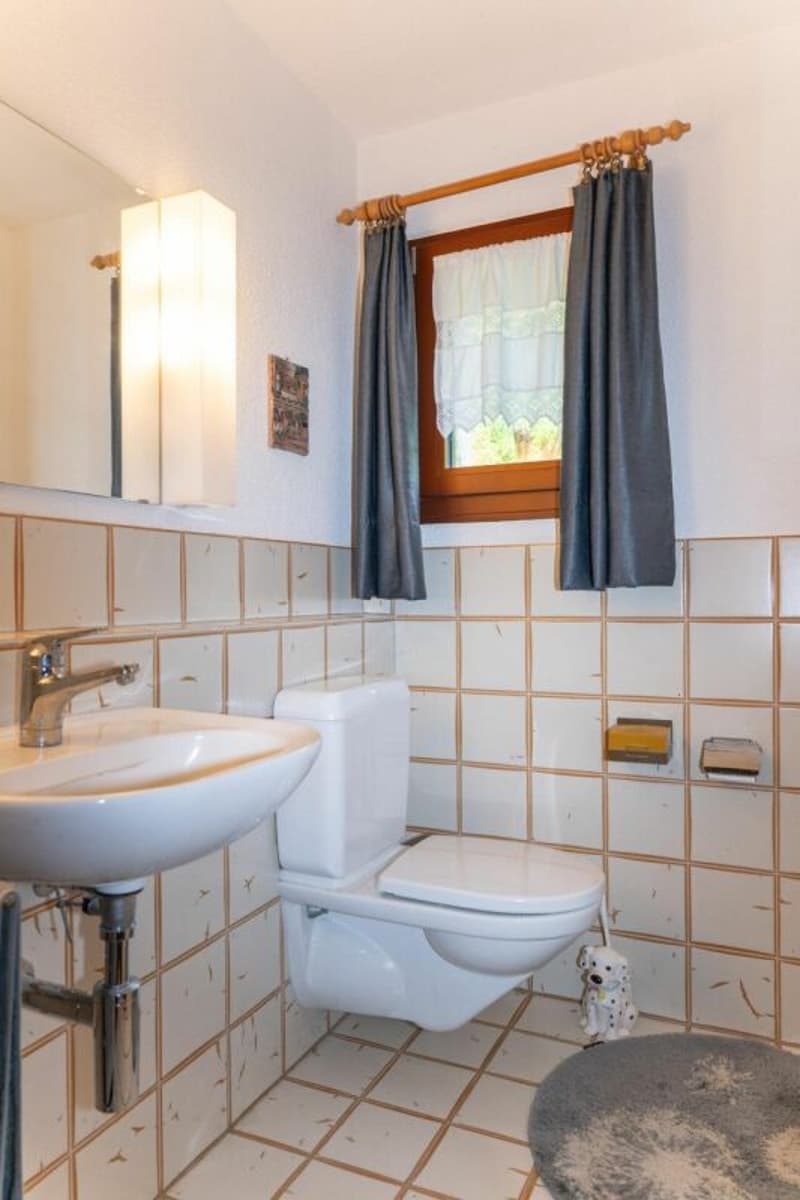 Attractive single-family house with well-maintained surroundings (8)