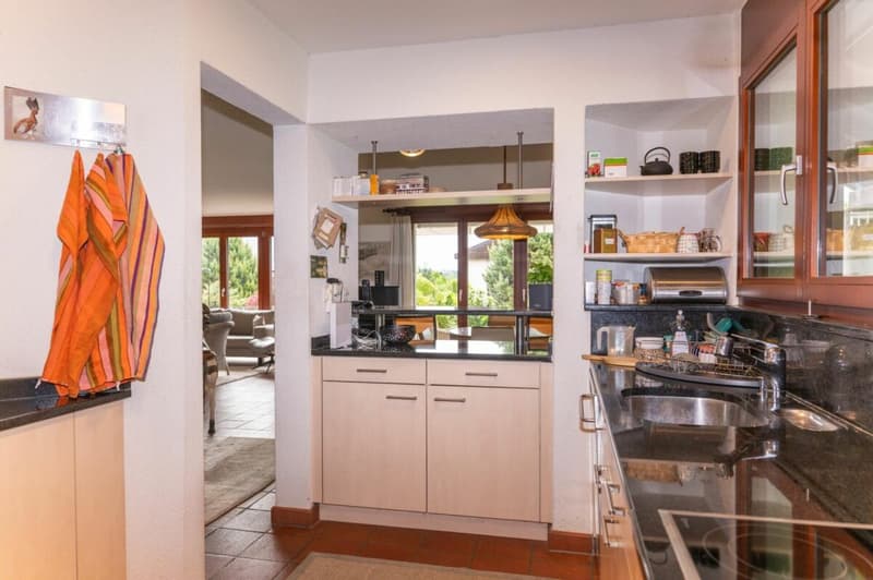 Attractive single-family house with well-maintained surroundings (5)