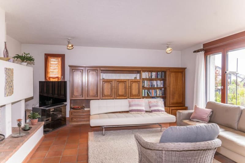 Attractive single-family house with well-maintained surroundings (7)