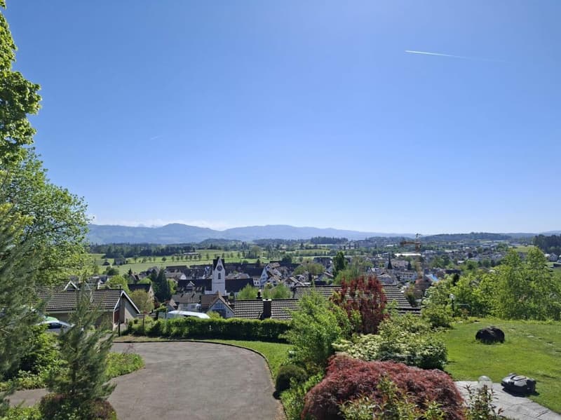 Dreamy single-family house in an exclusive location (18)