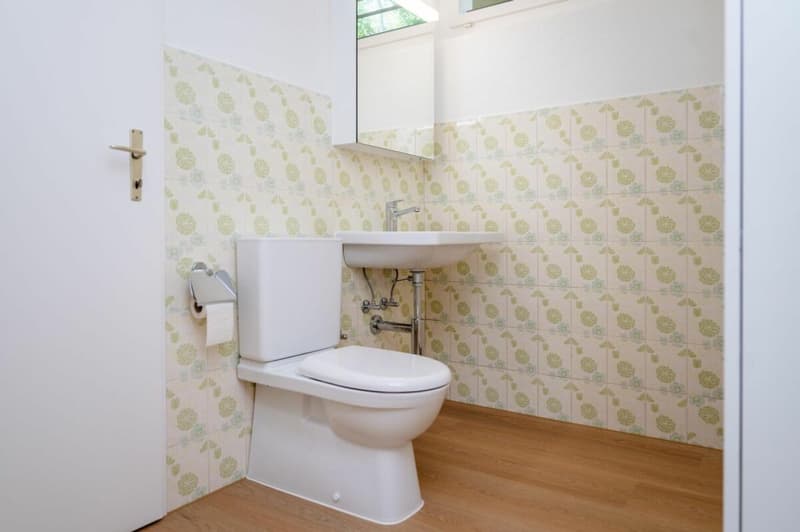 Dreamy single-family house in an exclusive location (11)