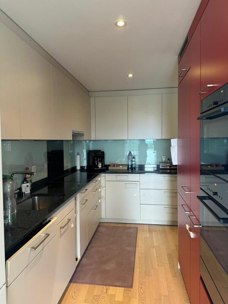 Appartement spacieux 3.5 pièces dans un quartier calme (5)