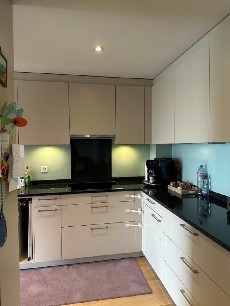 Appartement spacieux 3.5 pièces dans un quartier calme (6)