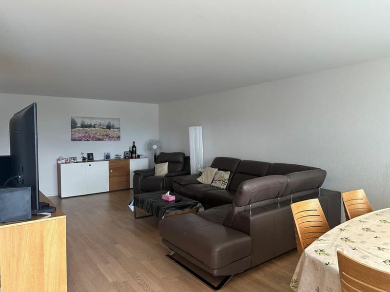 Appartement spacieux 3.5 pièces dans un quartier calme (3)