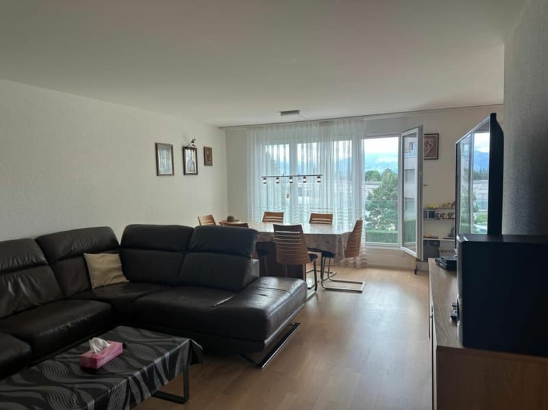 Appartement spacieux 3.5 pièces dans un quartier calme (2)