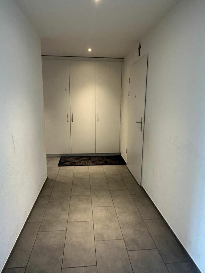 Appartement spacieux 3.5 pièces dans un quartier calme (11)