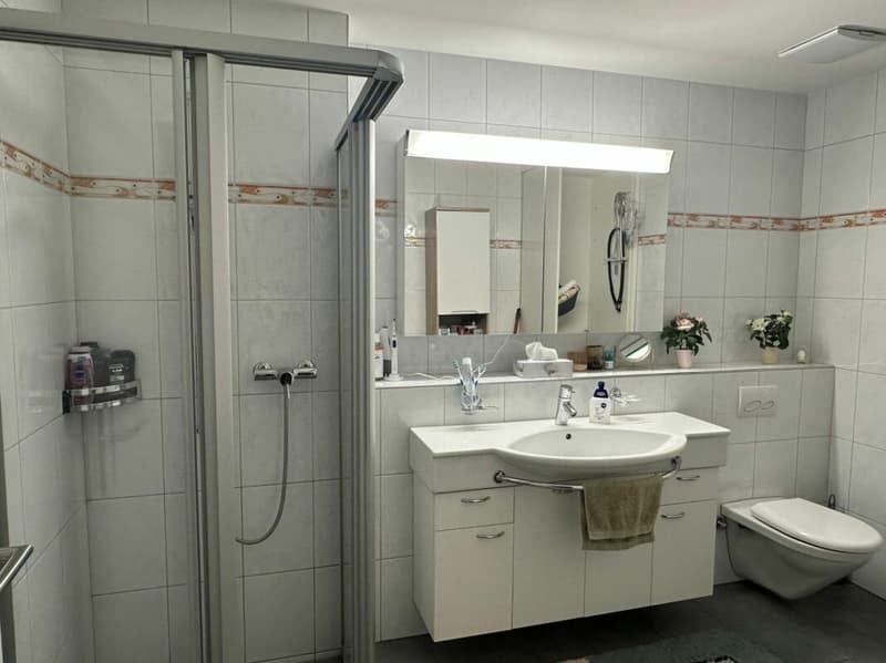 Appartement spacieux 3.5 pièces dans un quartier calme (9)