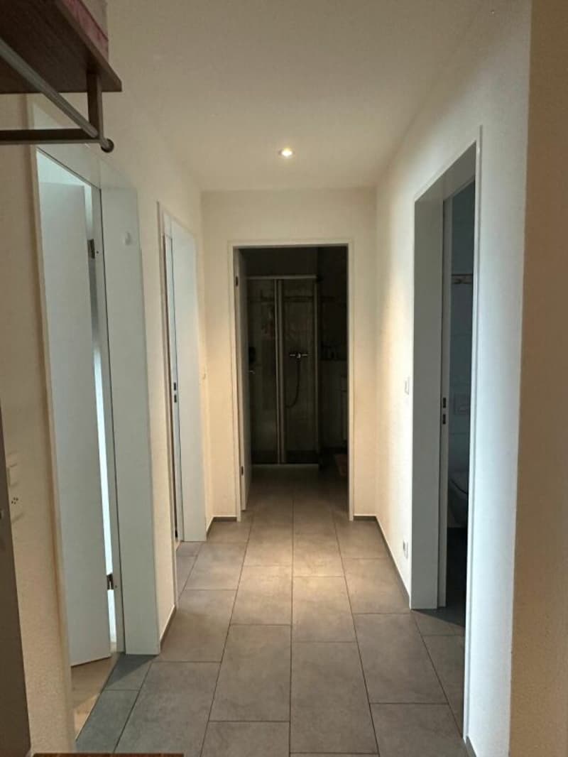 Appartement spacieux 3.5 pièces dans un quartier calme (12)