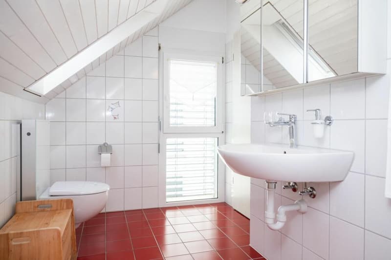 Grosse Dach-Maisonettewohnung mit Fernsicht (14)