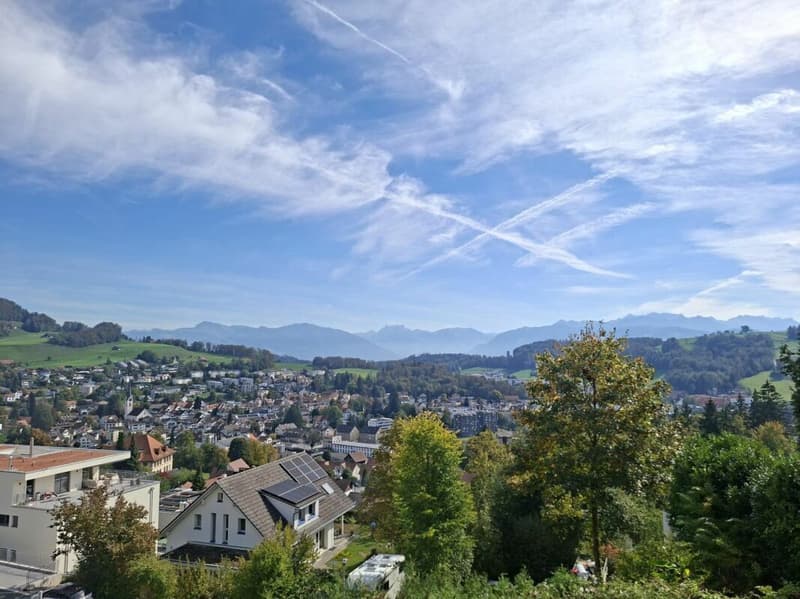Charmantes Einfamilienhaus mit traumhafter Aussicht (1)