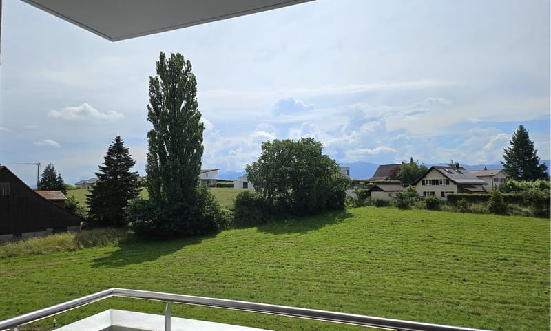 balcony with a view of a wide green field with trees and houses in the distance
