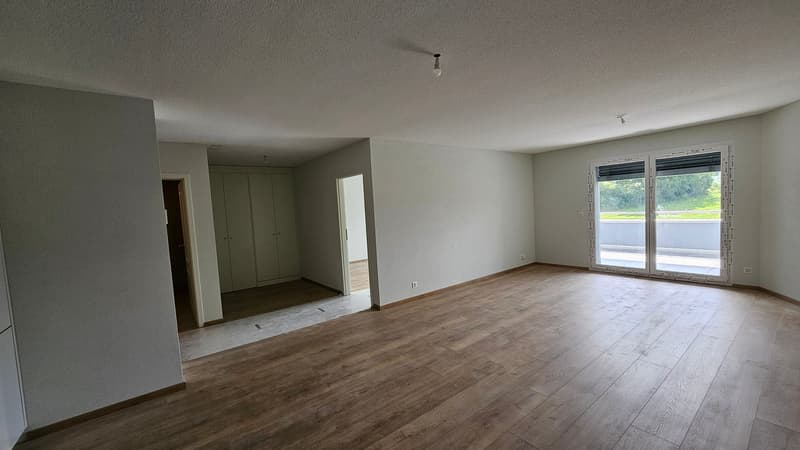 empty room, hardwood floors, sliding glass doors, white walls, large window, walk-in closet