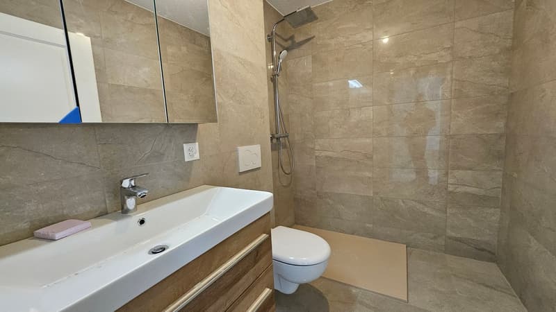 modern bathroom, tiled walls, shower, white sink, toilet, wooden cabinet, mirror