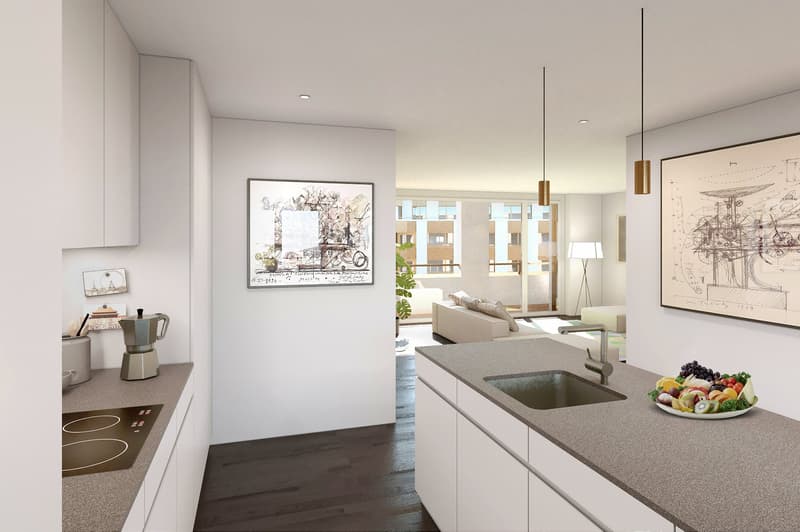 06046 - Appartamento 3½ locali (E33) - RUE INDUSTRIE 4B - FRIBOURG (4)