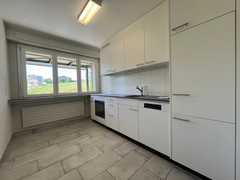 02757 - Appartamento 3½ locali - RTE GRUYERE 16 - FRIBOURG (5)