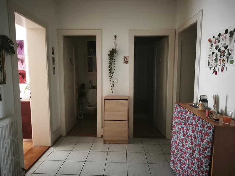 02229 - Appart. 3 PCs - BD PEROLLES 29 - FRIBOURG (5)