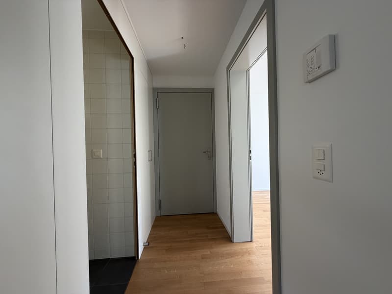 03899 - Appart. 3 PCES - Rue d'Or 16 - FRIBOURG (6)
